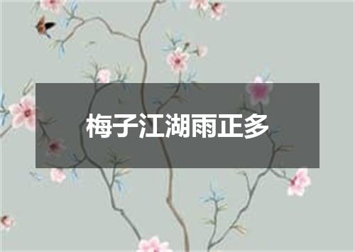 梅子江湖雨正多
