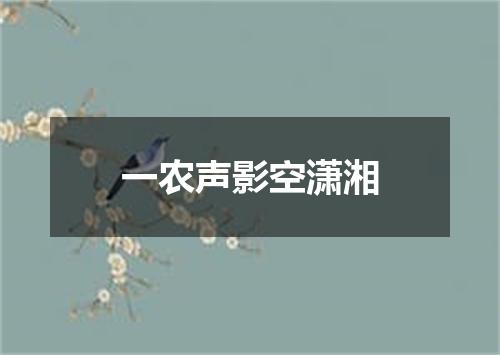 一农声影空潇湘