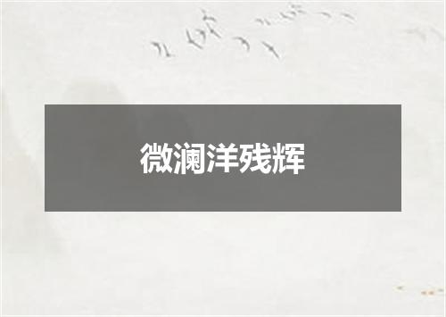 微澜洋残辉