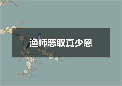 渔师恶取真少恩