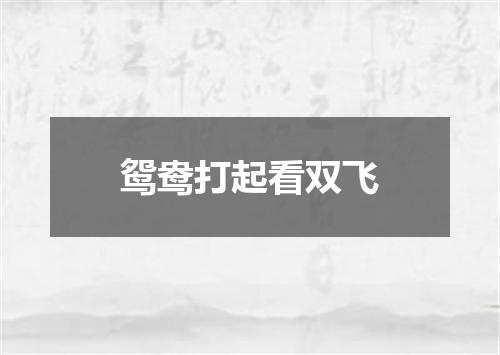 鸳鸯打起看双飞