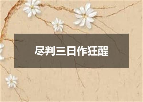 尽判三日作狂酲