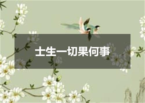 士生一切果何事