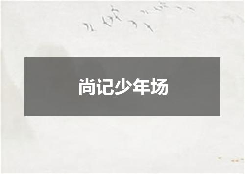 尚记少年场
