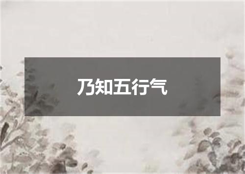 乃知五行气