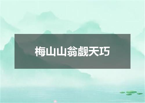 梅山山翁觑天巧
