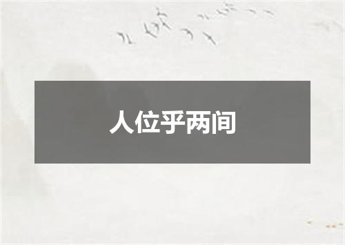 人位乎两间