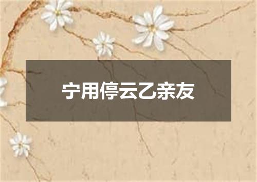 宁用停云乙亲友