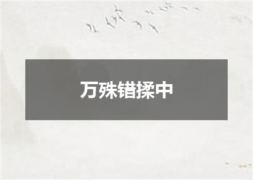 万殊错揉中
