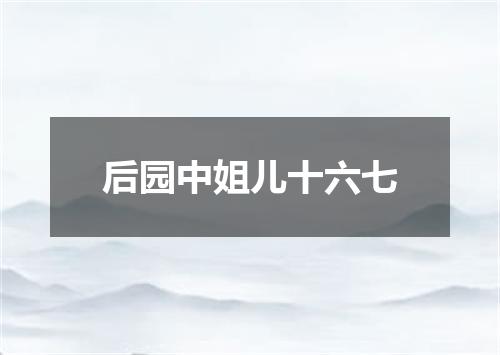 后园中姐儿十六七