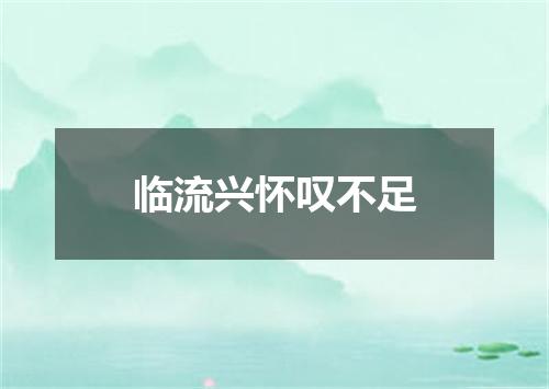 临流兴怀叹不足