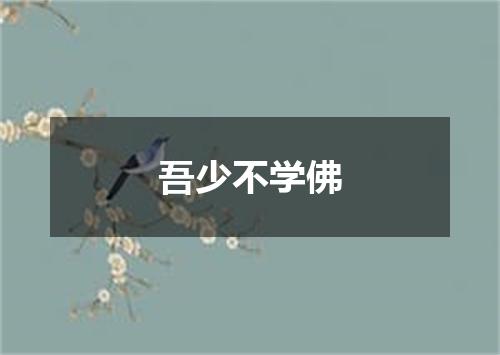 吾少不学佛