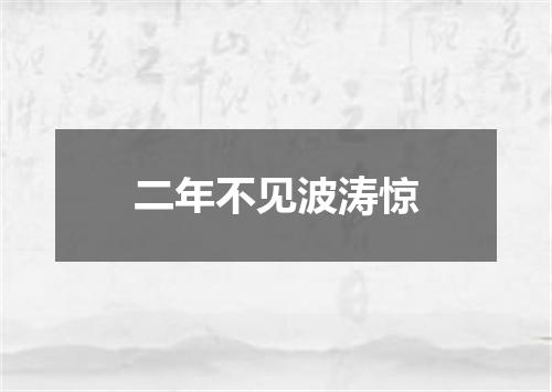 二年不见波涛惊
