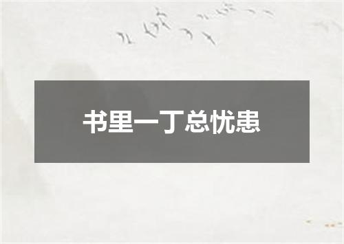 书里一丁总忧患