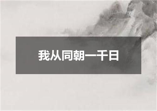 我从同朝一千日