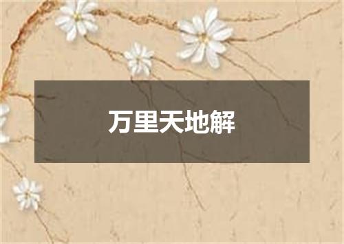 万里天地解
