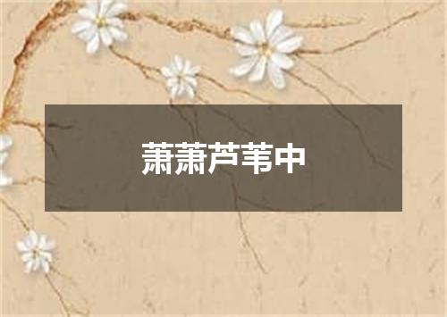 萧萧芦苇中