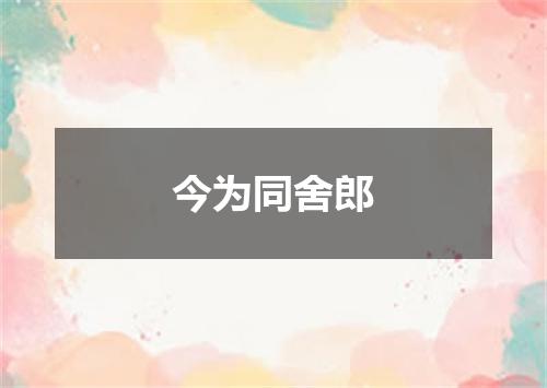 今为同舍郎