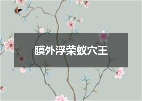 膜外浮荣蚁穴王