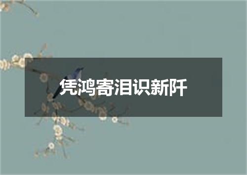 凭鸿寄泪识新阡
