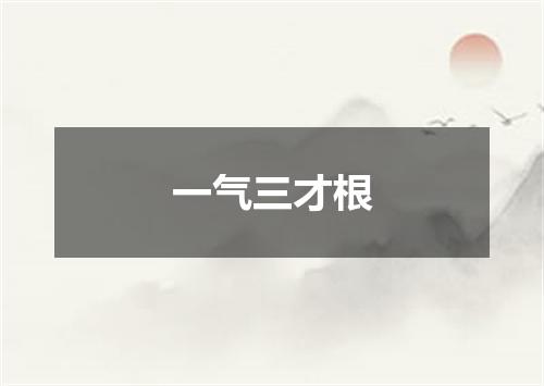 一气三才根