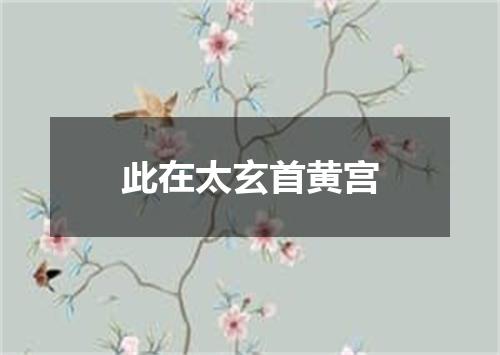此在太玄首黄宫