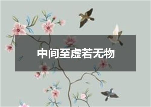 中间至虚若无物