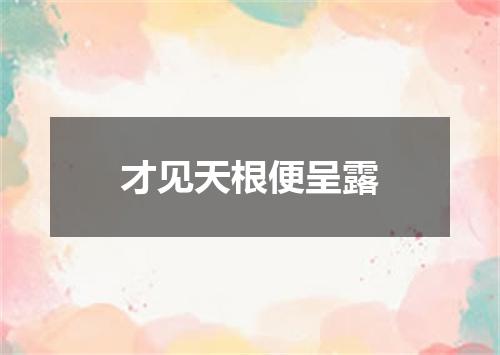 才见天根便呈露