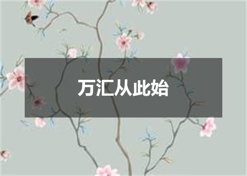万汇从此始