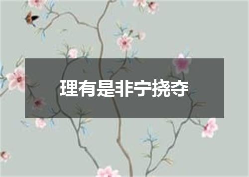 理有是非宁挠夺
