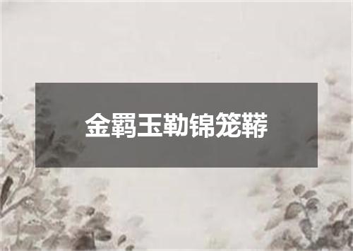 金羁玉勒锦笼鞯
