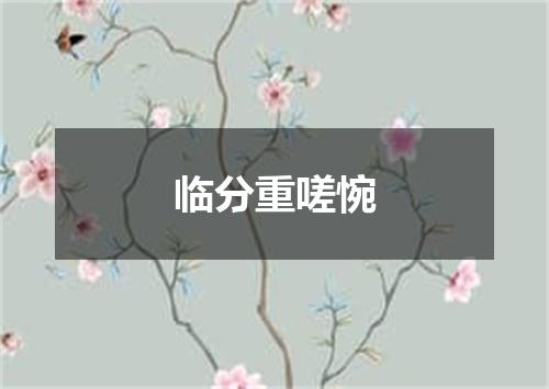 临分重嗟惋
