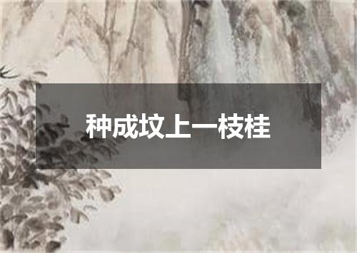 种成坟上一枝桂