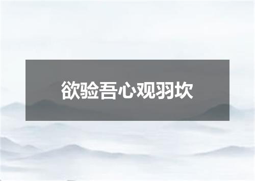 欲验吾心观羽坎