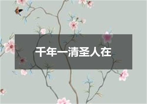 千年一清圣人在