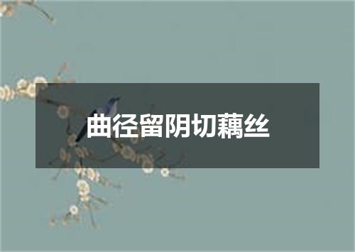 曲径留阴切藕丝