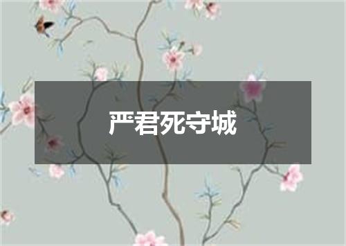严君死守城