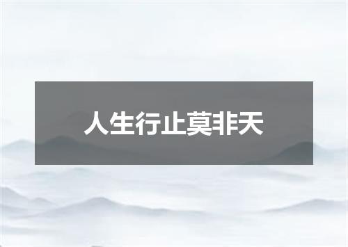 人生行止莫非天