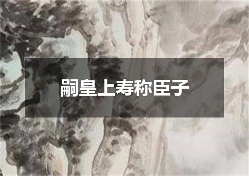 嗣皇上寿称臣子