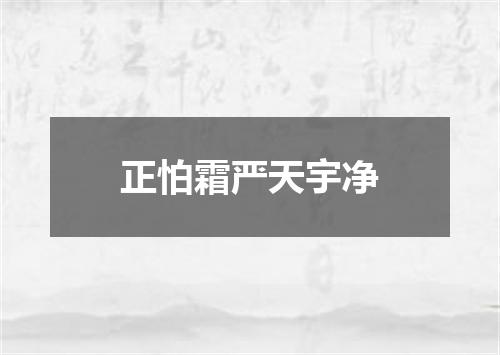 正怕霜严天宇净