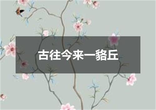 古往今来一貉丘
