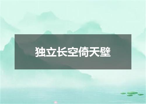 独立长空倚天壁