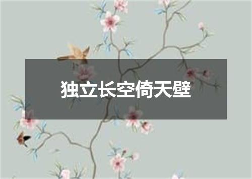 独立长空倚天壁