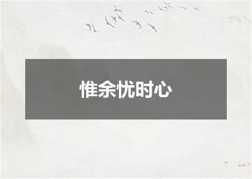 惟余忧时心