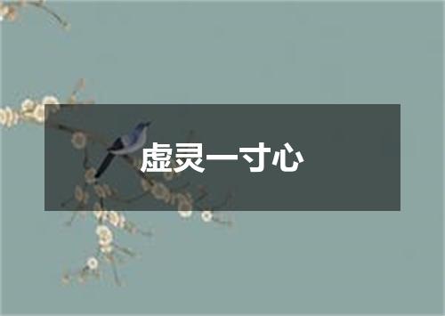虚灵一寸心