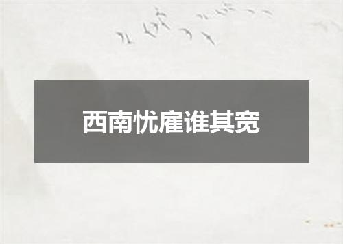 西南忧雇谁其宽