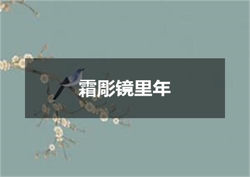 霜彫镜里年