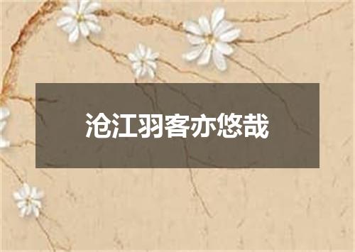 沧江羽客亦悠哉