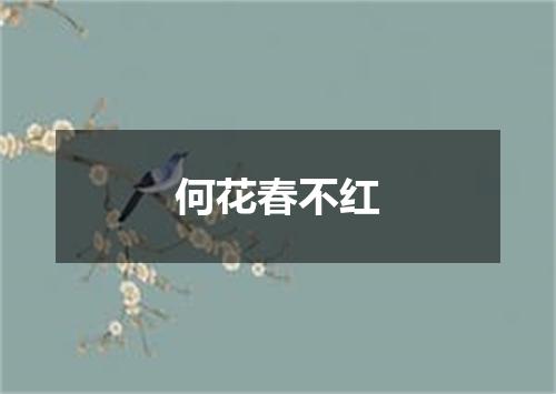 何花春不红