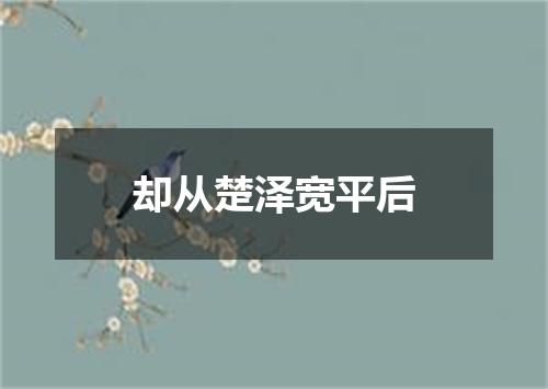 却从楚泽宽平后